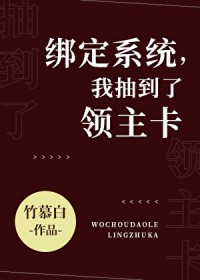 绑定系统，抽到了领主卡