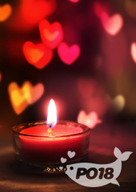 地球女在ABO世界的种田物语(穿书)